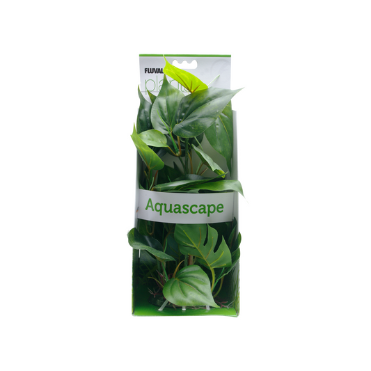 Fluval Decorative Plants, Anubias, 12in with Base