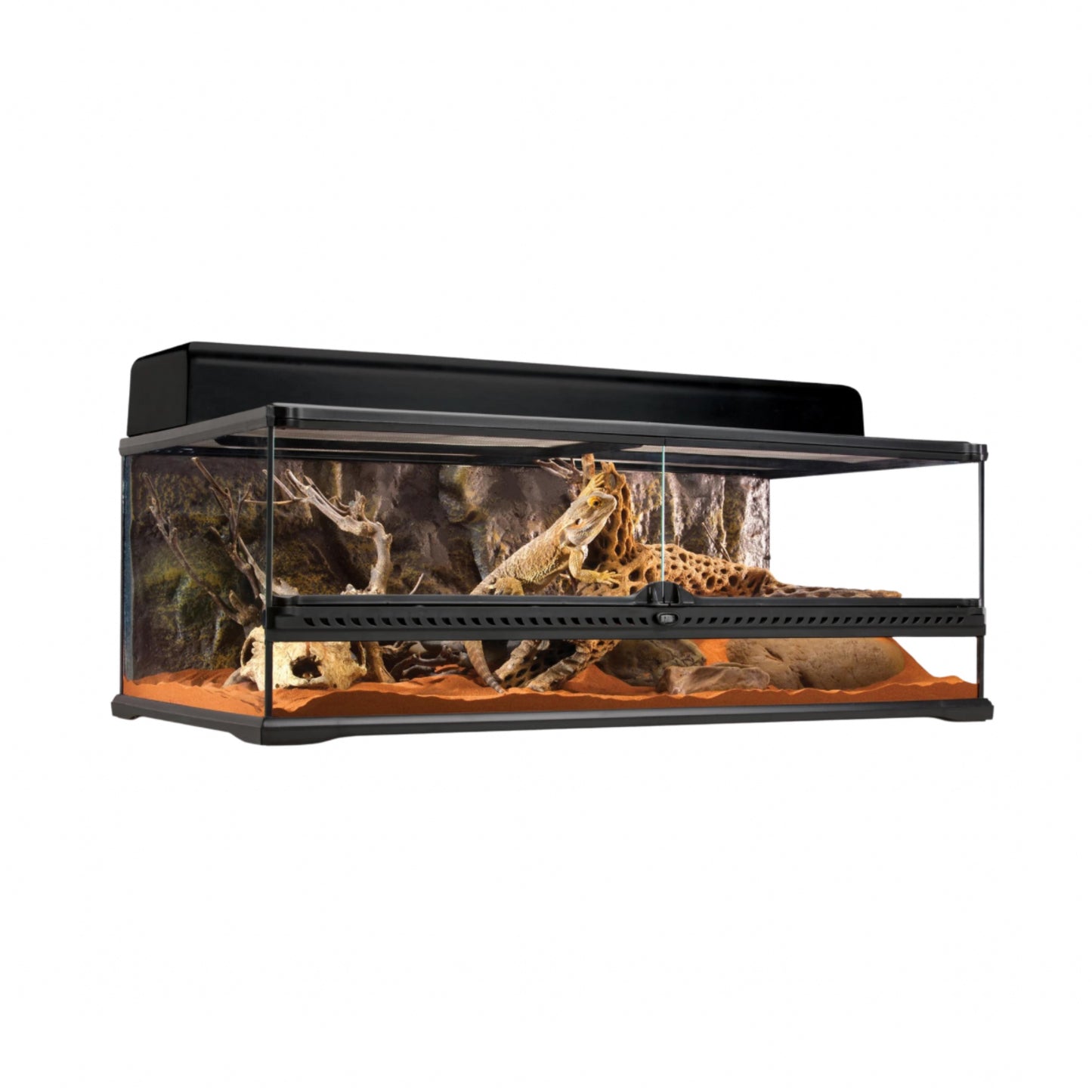 Exo Terra Glass Terrarium Low