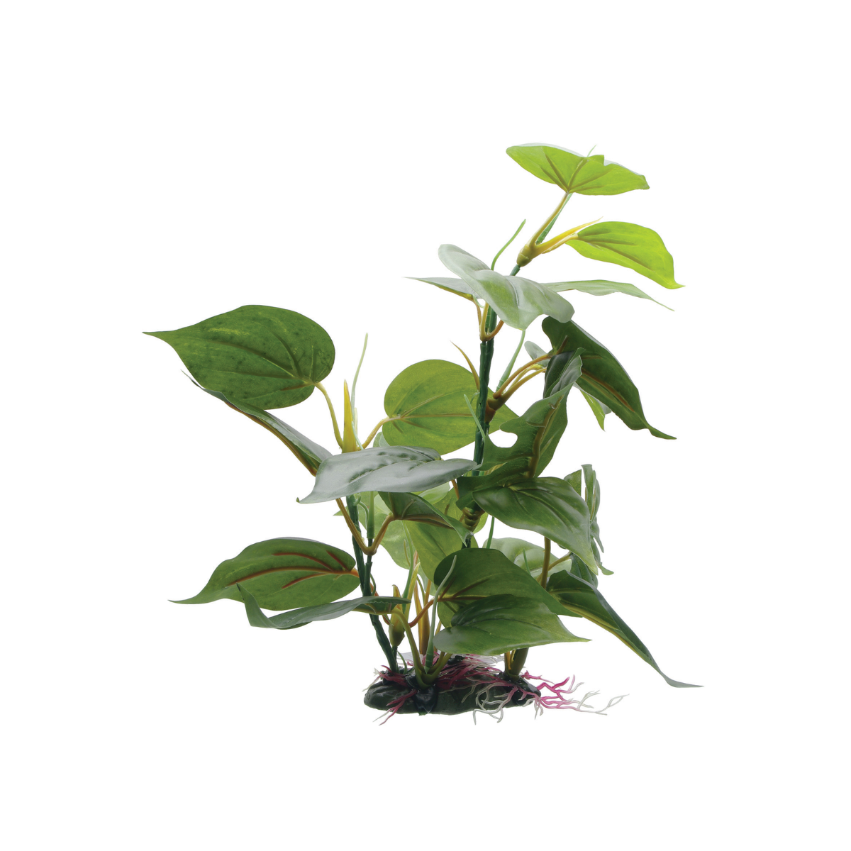 Fluval Decorative Plants, Anubias, 12in with Base